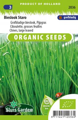 Schnittlauch Staro BIO (Allium schoenoprasum) 750 Samen SL
